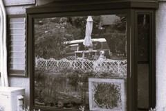 静止画
