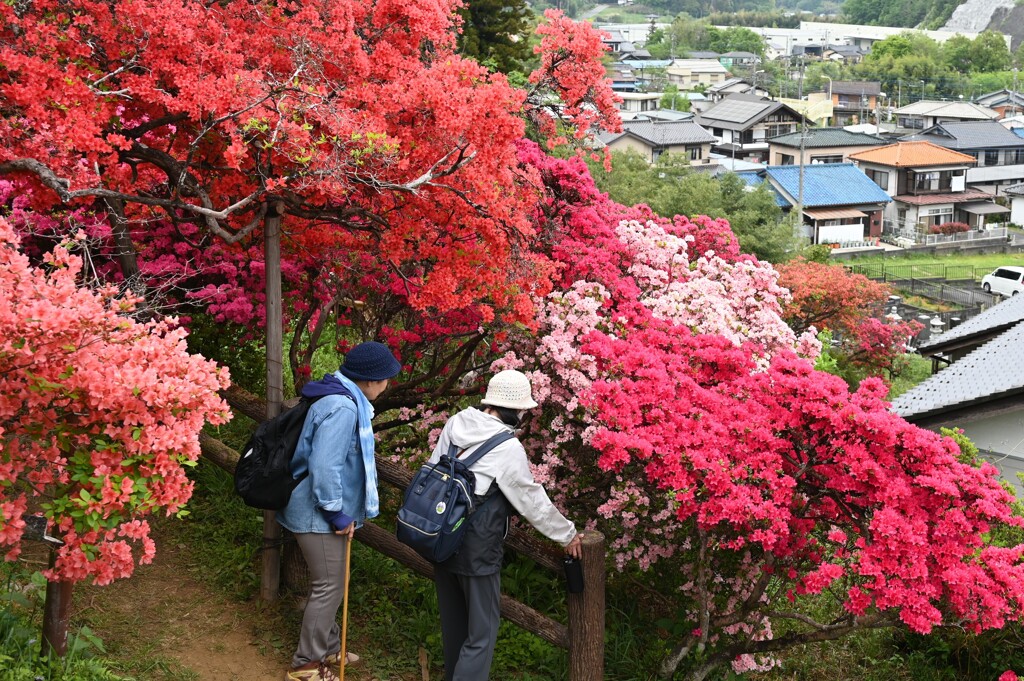 つつじ公園Ⅱ