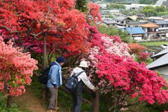 つつじ公園Ⅱ