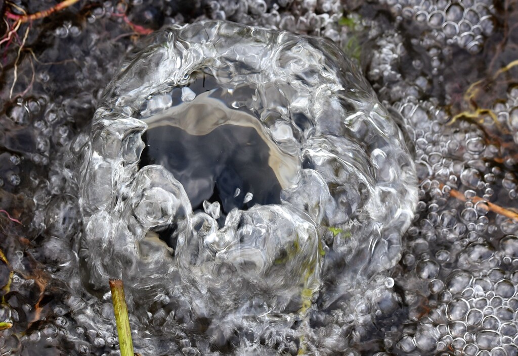 田んぼに引く水