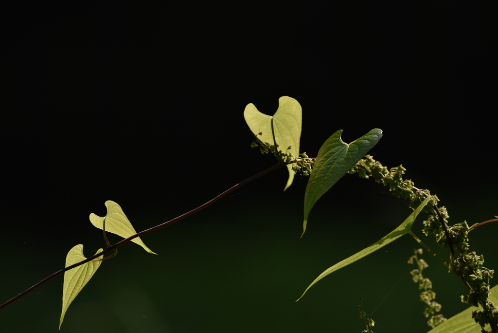 なにげない光景