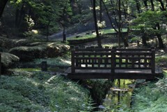 朝の光