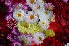 花手水