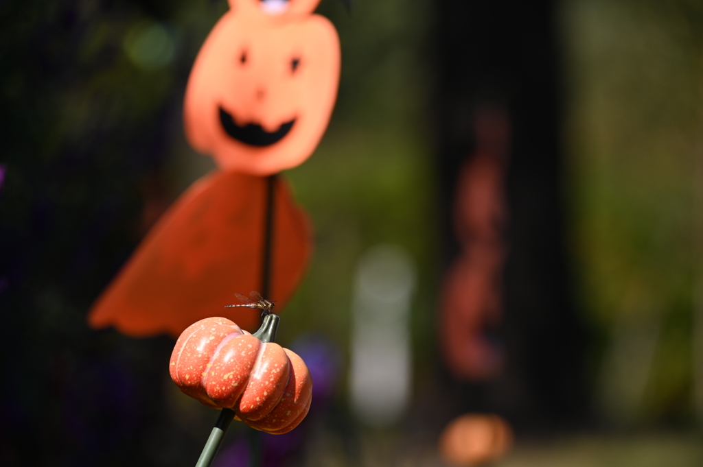 トリックオアトリート