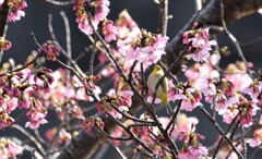 寸暇を惜しんで