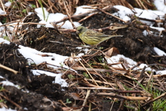 出会えてよかったよ～Ⅰ