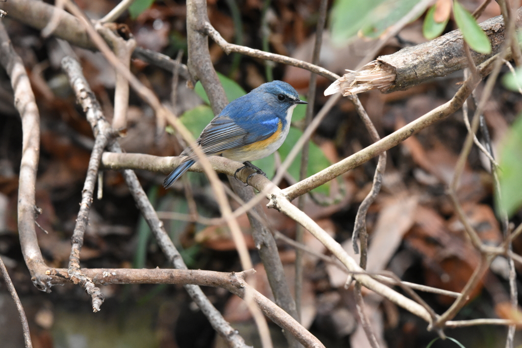 出会えてよかったよ～Ⅲ