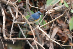 出会えてよかったよ～Ⅲ
