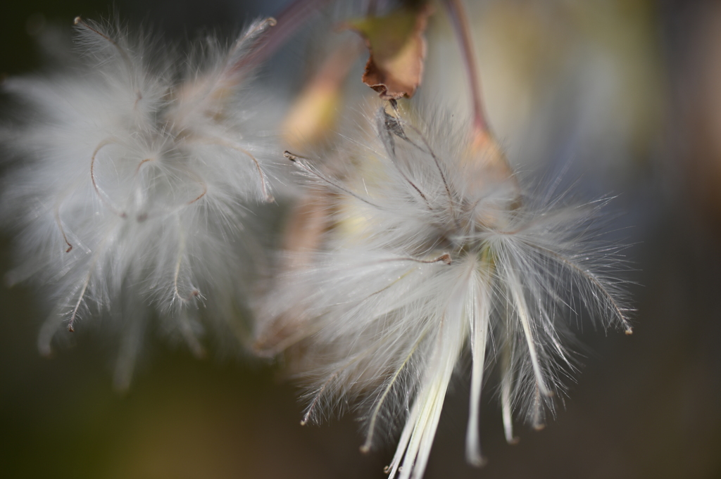 冬の公園の片隅でⅠ