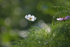 まだ早いですか