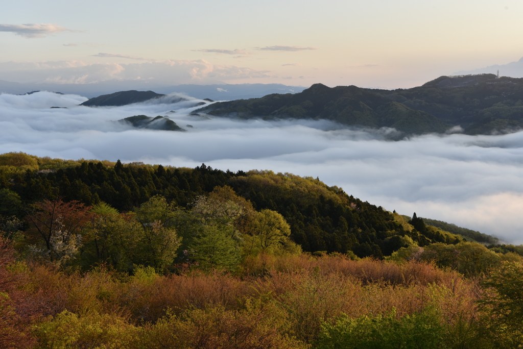 雲海夜景は撮れなかったけど