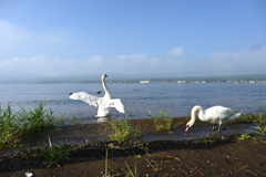 湖畔の朝Ⅱ 湖畔の朝Ⅱ