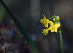 冬の公園の片隅でⅢ
