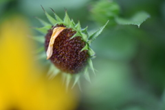 涼しい色 涼しい色