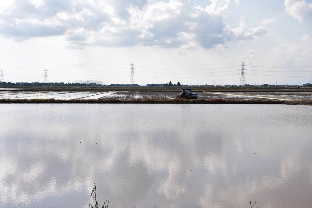 田植え前
