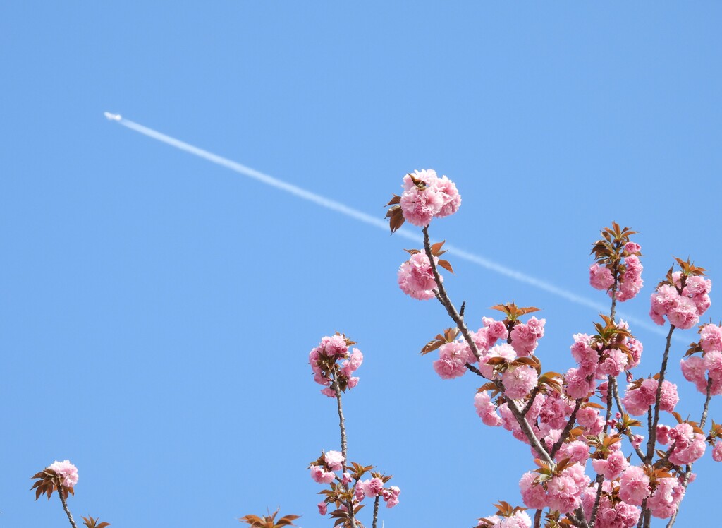 見上げれば