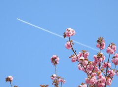 見上げれば