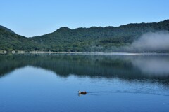 湖面、一瞬の虹色