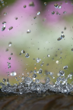 水の舞