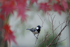 ちょっと