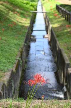 特等席