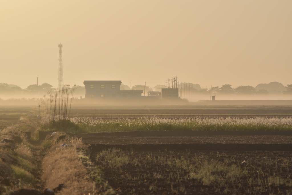 消えゆく朝霧
