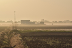 消えゆく朝霧