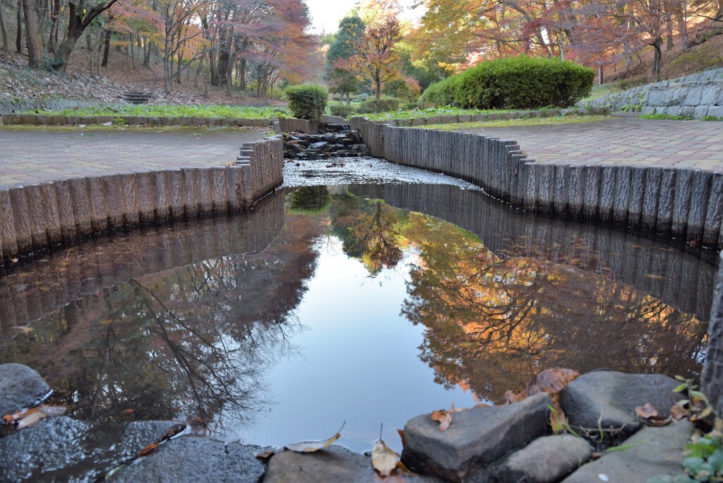 公園の水路