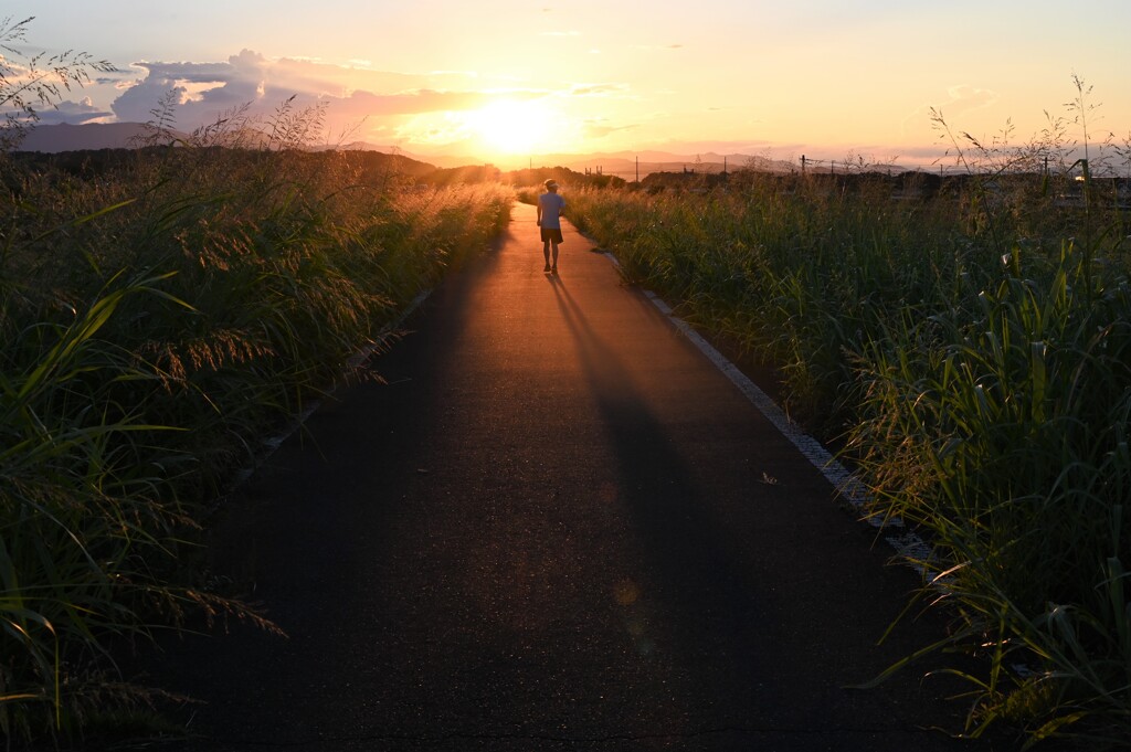夕方