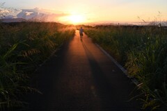 夕方 夕方