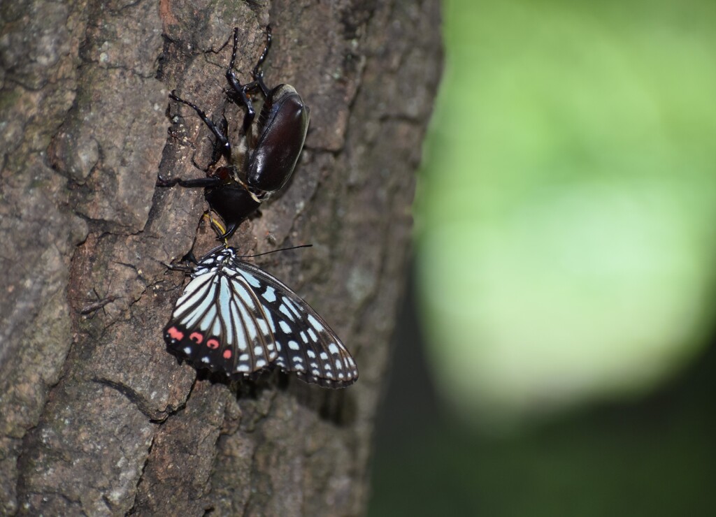 パーソナルスペース近すぎないか？