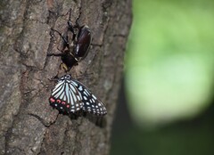 パーソナルスペース近すぎないか？