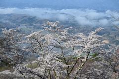 展望