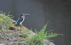 まさかこんなところに