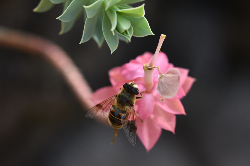 選り取り見取り