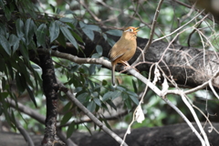 出会えてよかったよ～Ⅱ