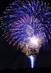 花・瓶Ⅱ 花・瓶Ⅱ
