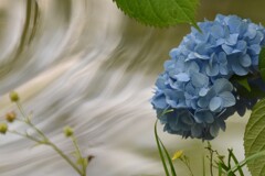 水辺