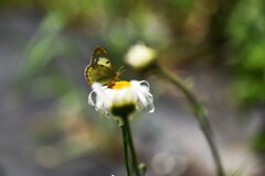 おっ、動かないで