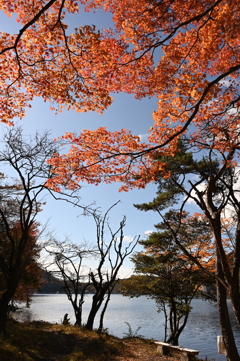 秋の湖畔