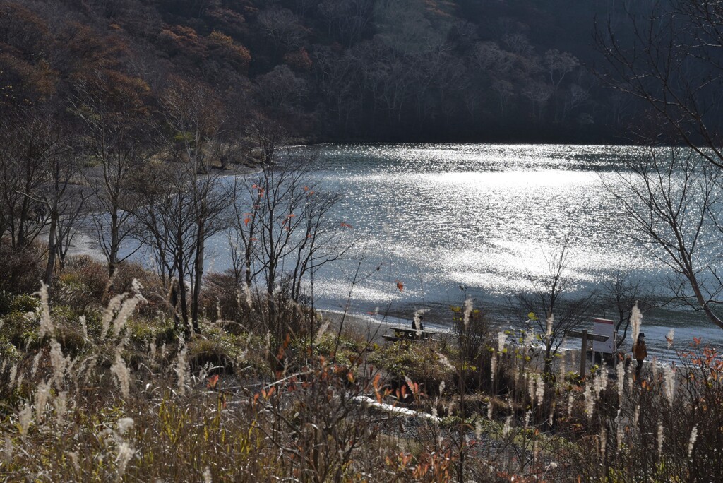 晩秋の湖畔