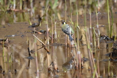 出会えてよかったよ～Ⅳ