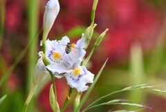 あれっ、君もかい