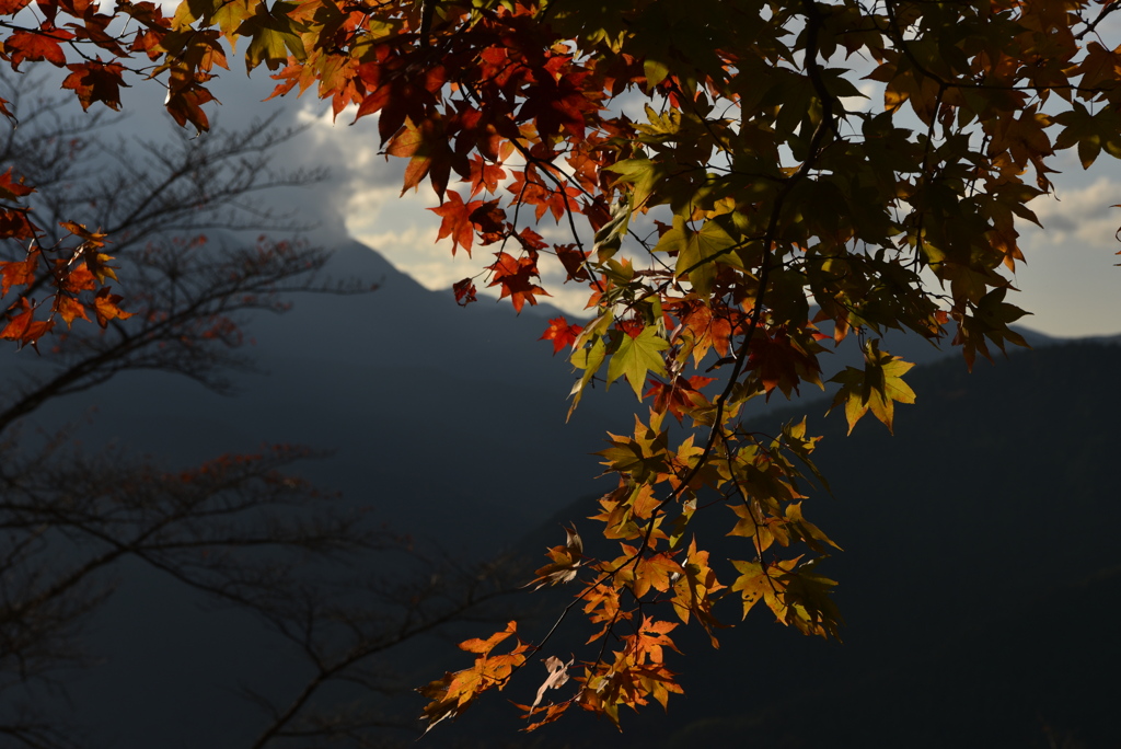 紅葉を求めて