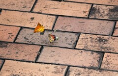 路上パフォーマンス