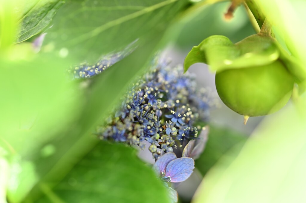 こんなところで