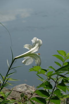 湖畔Ⅰ