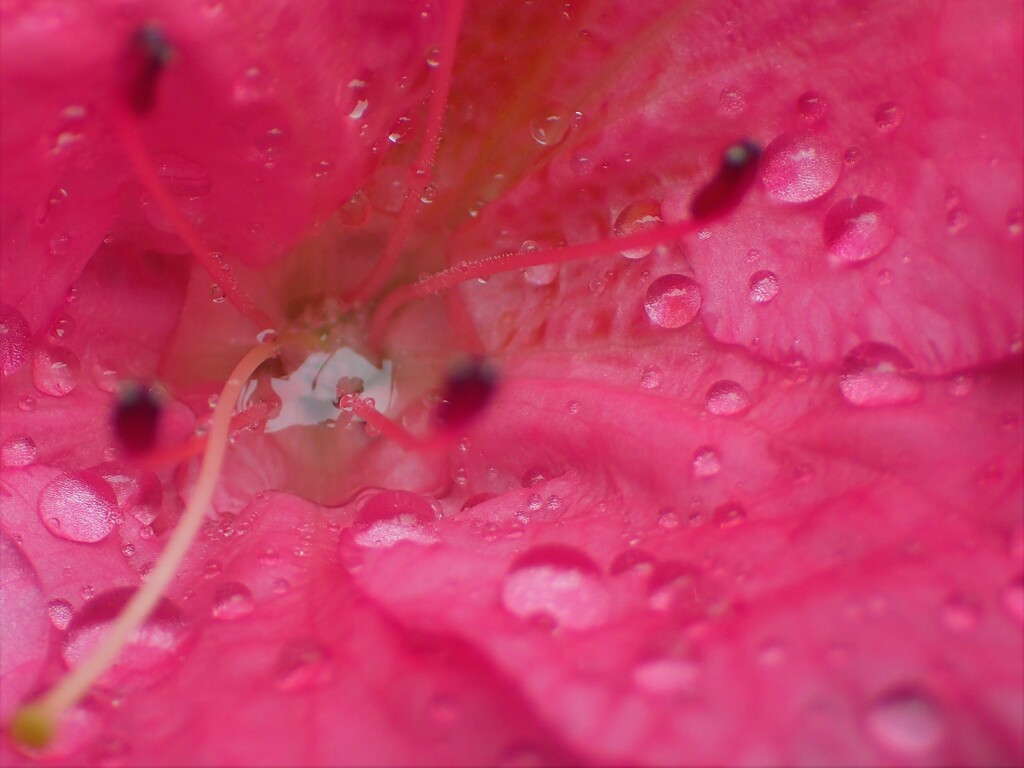 雨に濡れて