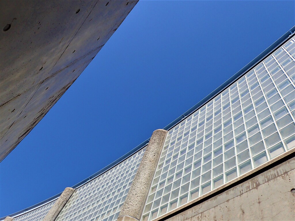 壁の上の青空