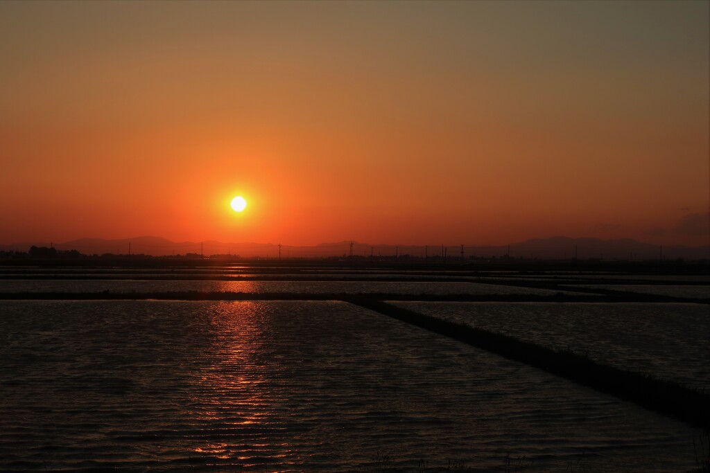 田圃の夕日